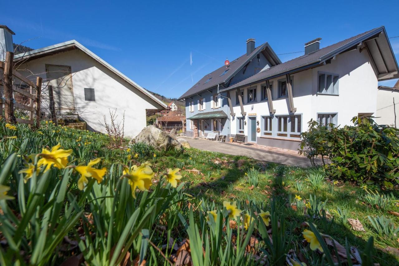 Locations Des 3 Sommets Avec Sauna Et Spa En Alsace Sondernach Ngoại thất bức ảnh