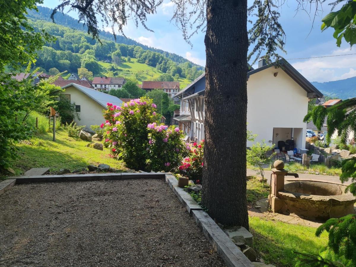 Locations Des 3 Sommets Avec Sauna Et Spa En Alsace Sondernach Ngoại thất bức ảnh