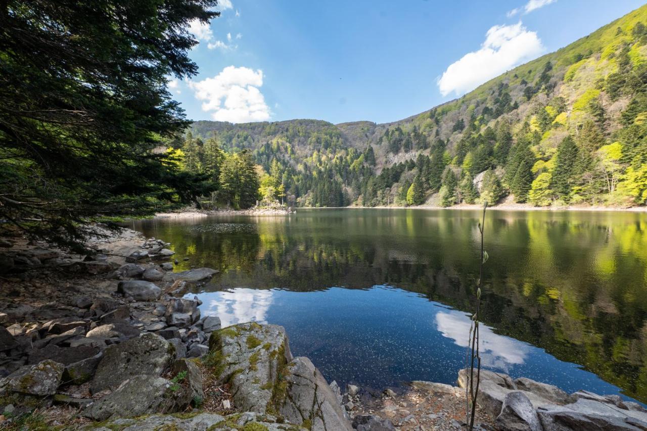 Locations Des 3 Sommets Avec Sauna Et Spa En Alsace Sondernach Ngoại thất bức ảnh